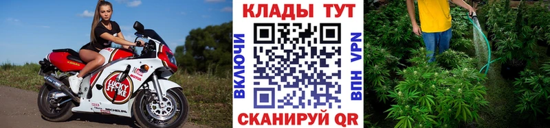 Наркошоп Ленинградская A-PVP  Галлюциногенные грибы  Гашиш 