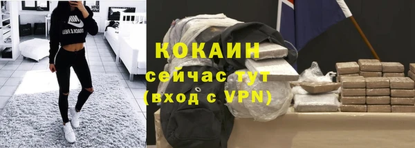 шишки Богданович
