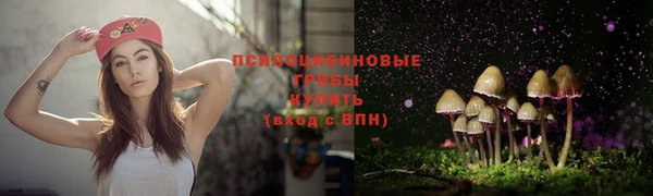 шишки Богданович