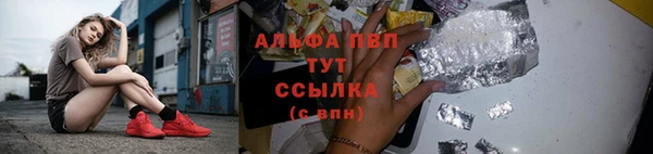 шишки Богданович