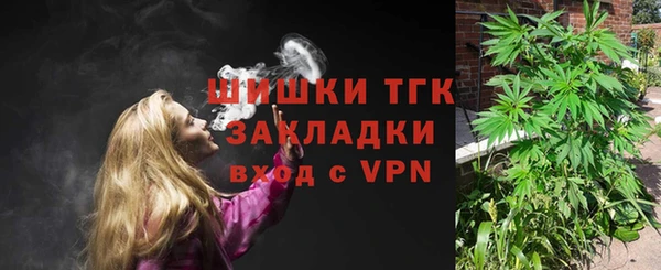 шишки Богданович