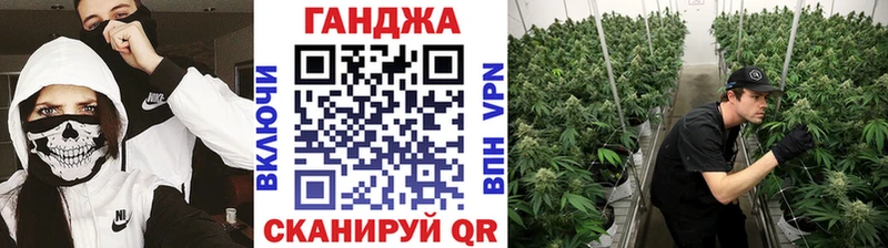 Бошки марихуана Amnesia  Ленинградская 